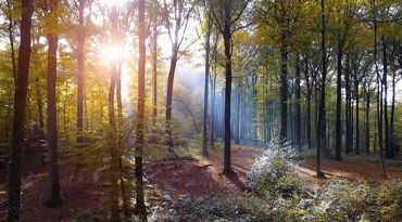 Environment & Community